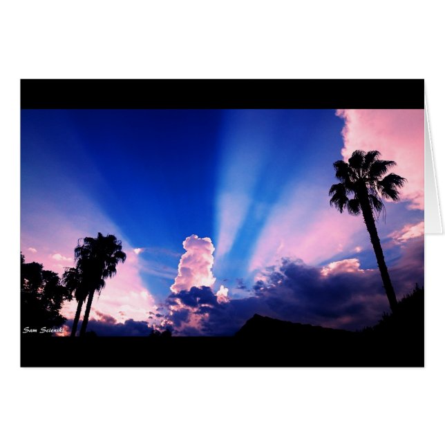 綿菓子の日没 (正面横)