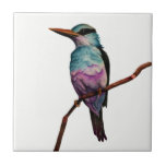 綿菓子色の鳥の絵画 タイル<br><div class="desc">これは綿菓子色の鳥の水彩画の絵画です。 それは枝でとまります。</div>