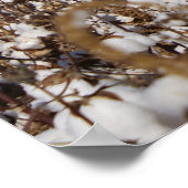 綿、国、農場、色 ポスター (角)