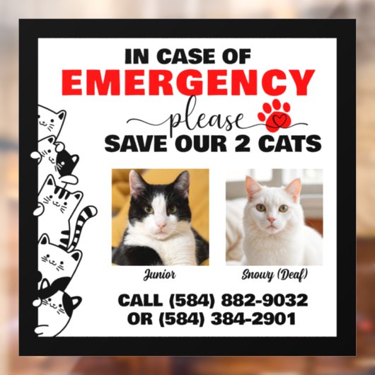 緊急の場合救は写真付きカスタム猫2 ウィンドウサイン (シート2)