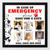 緊急の場合救は6猫の写真カスタム ウィンドウサイン (シート)