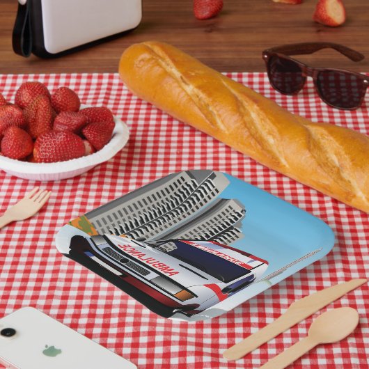 緊急救急センター救急センター ペーパープレート (ピクニック)