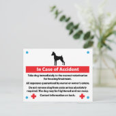 緊急時の犬の箱カード ポストカード (スタンド正面)