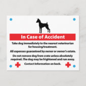 緊急時の犬の箱カード ポストカード (正面)