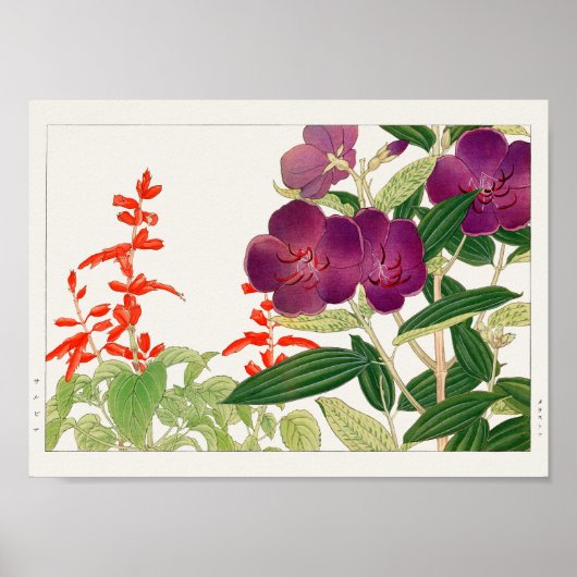 緋セージ、メラストマby谷上湖南 ポスター (正面)