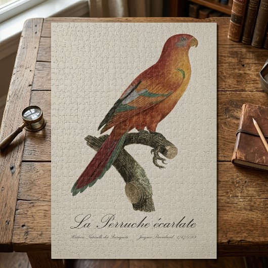 緋毛小鳥 ジグソーパズル