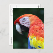 緋色のかわいらしマカオ ポストカード (正面/裏面)