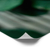 緋色のイビスバードフォトポスター ポスター (角)