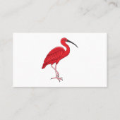 緋色のイビスバードマンガイラストレーション 名刺 (裏面)