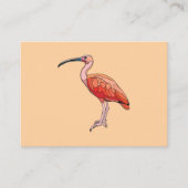 緋色のイビスバード 名刺 (正面)