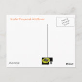 緋色のイワナ ポストカード (裏面)