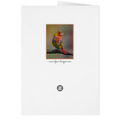 緋色のタネガーの成型品 – オリジナル写真 (裏面)