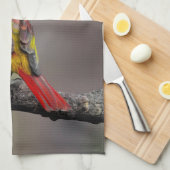 緋色のタネガーの成型品 – オリジナル写真 キッチンタオル (四つ折り)