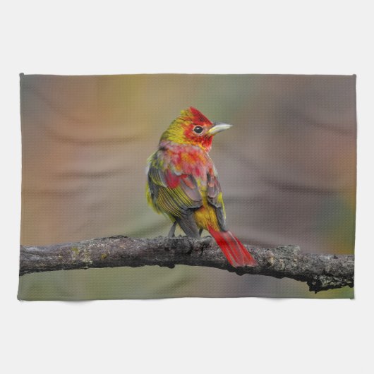 緋色のタネガーの成型品 – オリジナル写真 キッチンタオル (横)