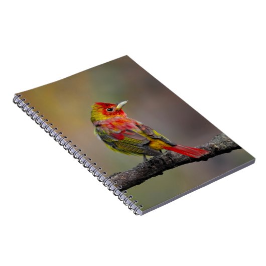 緋色のタネガーの成型品 – オリジナル写真 ノートブック (右側)