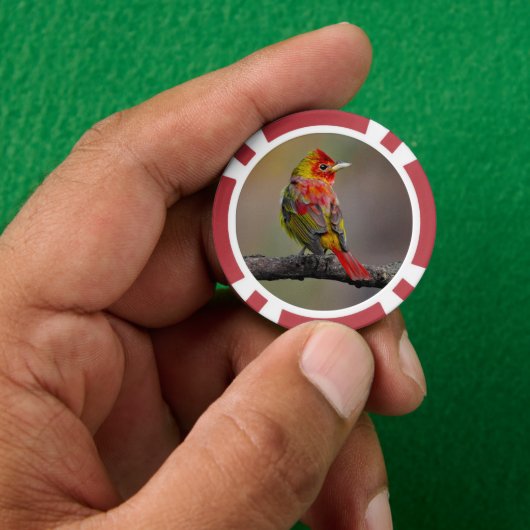 緋色のタネガーの成型品 – オリジナル写真 ポーカーチップ (手)