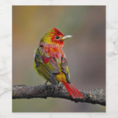 緋色のタネガーの成型品 – オリジナル写真 ワインラベル (シングルラベル)