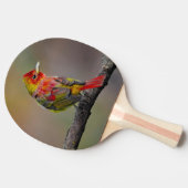 緋色のタネガーの成型品 – オリジナル写真 卓球ラケット (横)