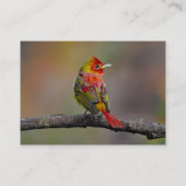 緋色のタネガーの成型品 – オリジナル写真 名刺 (裏面)