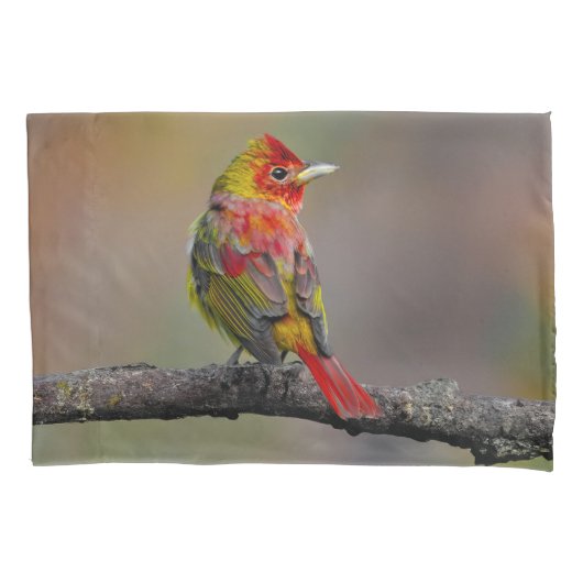 緋色のタネガーの成型品 – オリジナル写真 枕カバー (正面)