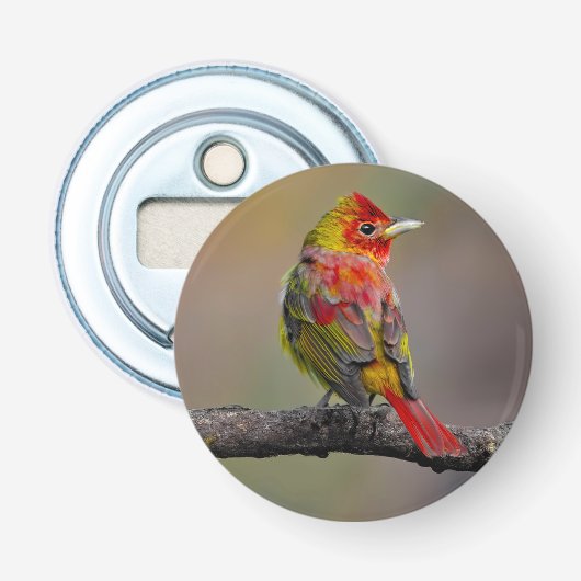 緋色のタネガーの成型品 – オリジナル写真 栓抜き (正面)