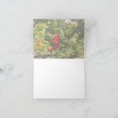 緋色のタネガー カード (内部)