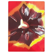 緋色のチューリップ クリップボード (裏面)