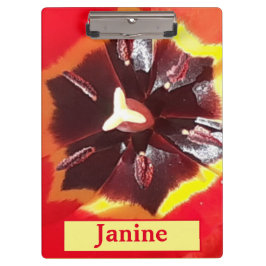 緋色のチューリップ クリップボード