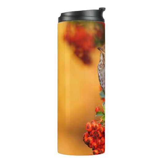 緋色のファイアソーンのヘミットツグシュのソングバード タンブラー (回転左)