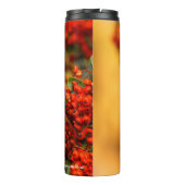 緋色のファイアソーンのヘミットツグシュのソングバード タンブラー (裏面)