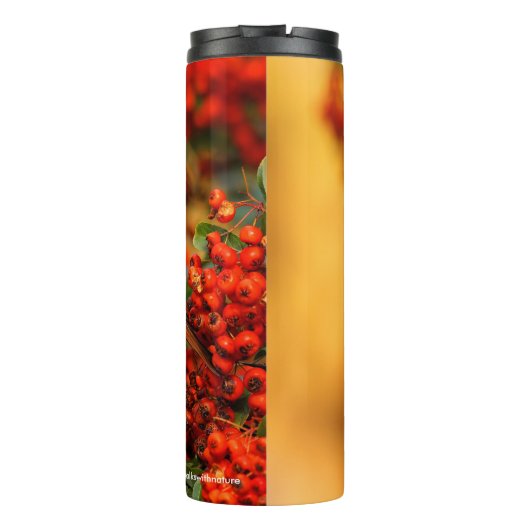 緋色のファイアソーンのヘミットツグシュのソングバード タンブラー (裏面)