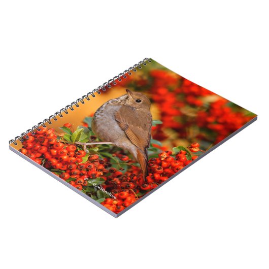 緋色のファイアソーンのヘミットツグシュのソングバード ノートブック