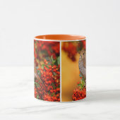 緋色のファイアソーンのヘミットツグシュのソングバード マグカップ (中央)