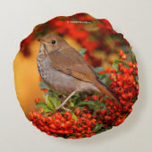 緋色のファイアソーンのヘミットツグシュのソングバード ラウンドクッション (裏面)