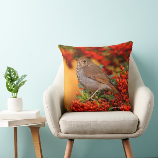 緋色のファイアソーンの上の仙人ツグミの松の鳥 クッション (椅子)