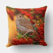 緋色のファイアソーンの上の仙人ツグミの松の鳥 クッション (裏面)