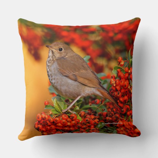 緋色のファイアソーンの上の仙人ツグミの松の鳥 クッション (裏面)
