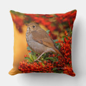 緋色のファイアソーンの上の仙人ツグミの松の鳥 クッション (正面)