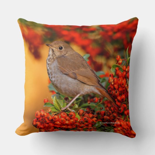 緋色のファイアソーンの上の仙人ツグミの松の鳥 クッション (正面)