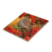 緋色のファイアソーンの上の仙人ツグミの松の鳥 タイル (側面)