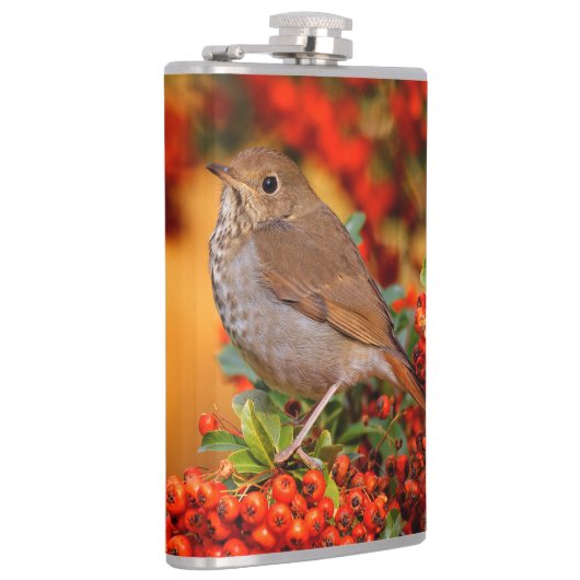 緋色のファイアソーンの上の仙人ツグミの松の鳥 フラスク (右)