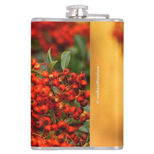 緋色のファイアソーンの上の仙人ツグミの松の鳥 フラスク (裏面)