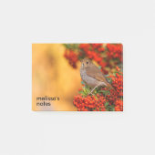 緋色のファイアソーンの上の仙人ツグミの松の鳥 ポストイット (正面)