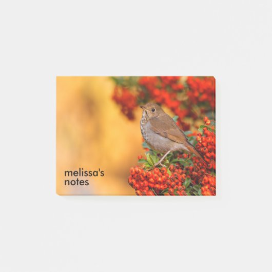 緋色のファイアソーンの上の仙人ツグミの松の鳥 ポストイット (正面)