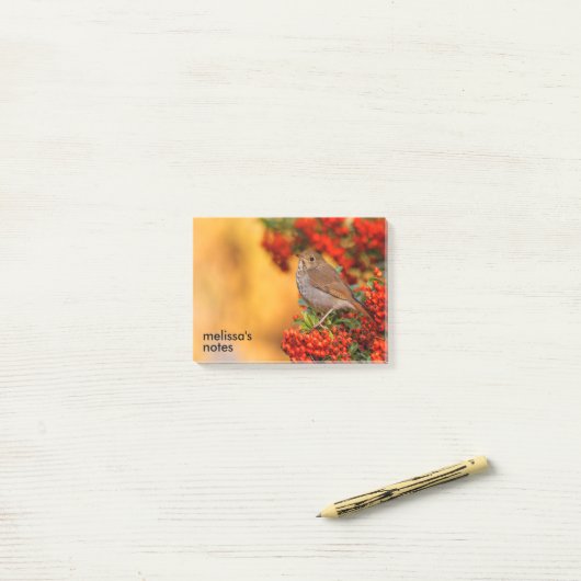 緋色のファイアソーンの上の仙人ツグミの松の鳥 ポストイット (デスク上)