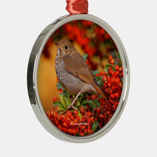 緋色のファイアソーンの上の仙人ツグミの松の鳥 メタルオーナメント (右)