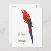 緋色のマカオのオウム漫画イラストレーション ポストカード (正面/裏面)