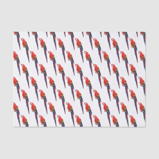 緋色のマカオのオウム漫画イラストレーション 薄葉紙 (正面)