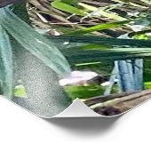 緋色のマカオコスタリカ写真拡大 フォトプリント            (角)