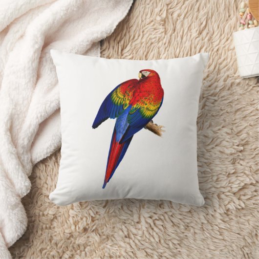 緋色のマカオ熱帯カラフル熱帯雨林鳥 クッション (ブランケット)